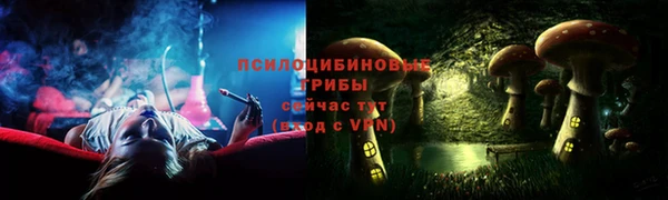 хмурый Майский
