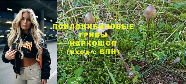 2c-b Липки