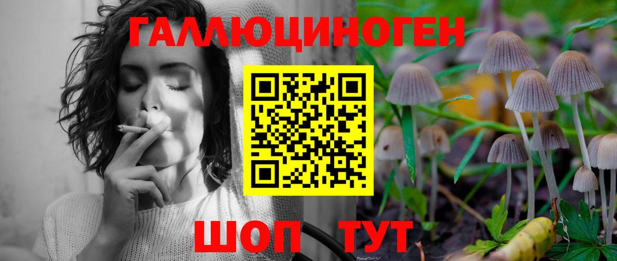 Псилоцибиновые грибы Cubensis Южно-Сахалинск